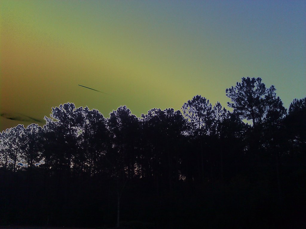 colorful_skies_n_trees__sky_n_trees_reversed__by_mycanda