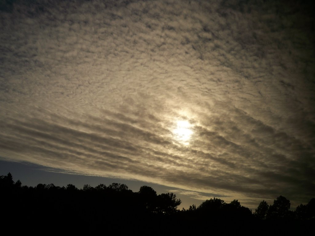 tmp_12695-dark vibes by mycanda-249038886