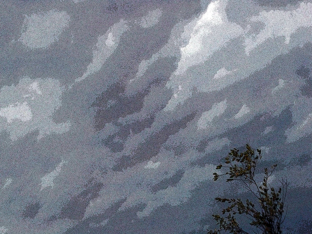 artistic_flow_with_the_wind_by_mycanda